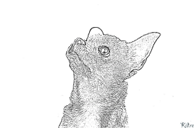 chihuahua Coloring Pages To Print